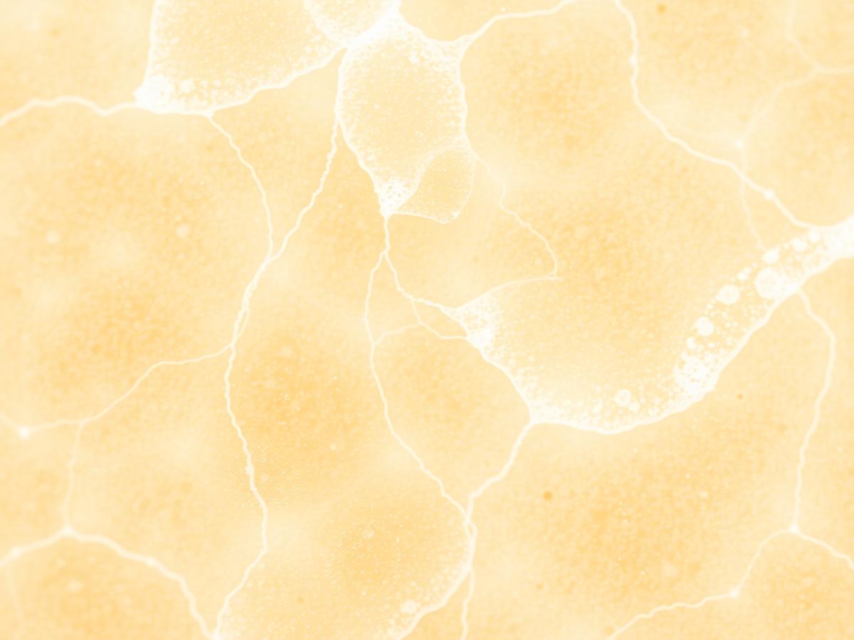 Abstract warm organic cellular texture